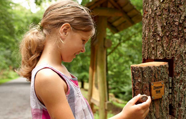 Wald-Erlebnispfad im Wildparadies Tripsdrill | © Erlebnispark Tripsdrill