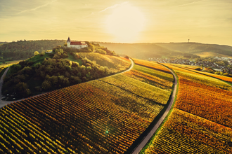 Herbstlandschaft am Michaelsberg Cleebronn | Schönste Weinsicht Württemberg | HeilbronnerLand | © Touristikgemeinschaft HeilbronnerLand