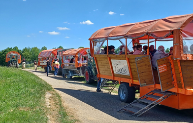 Orange Wagenflotte des Katzenbeisser-Carrus aus Lauffen mit vier Planwagen | © Martina Buck | Katzenbeisser-Carrus
