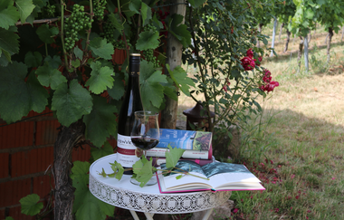 Weinerlebnisführerin Heidi Brose-Schilling | Weinführungen im Weinsüden Weinort Brackenheim | © Neckar-Zaber-Tourismus e.V.