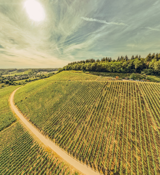 Zweifelberg aus der Vogelperspektive | © Touristikgemeinschaft HeilbronnerLand e.V.