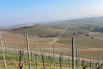 KrimiDinner im Wengerthäusle