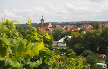 Stäffelestour | Lauffen am Neckar | Weinsüden Weinort | © Neckar-Zaber-Tourismus e.V.