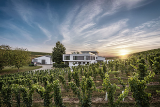 Blick auf die Weinberge und das Gebäude des Weinguts Eberbach-Schäfer bei Sonnenuntergang | © Privatweingut Eberbach-Schäfer
