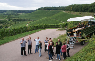 Lemberger Express | Planwagen- und Weinbergrundfahrten | Brackenheim | © Weinkonvent Dürrenzimmern