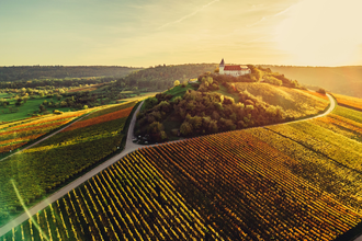 Michaelsberg Cleebronn & Schönste Weinsicht Württemberg | HeilbronnerLand | © Touristikgemeinschaft HeilbronnerLand