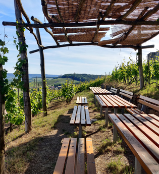 Picknickplatz im Brackenheimer Zweifelberg | HeilbronnerLand | © Touristikgemeinschaft HeilbronnerLand