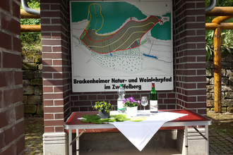 Wein - Sensorik - Kulinarik