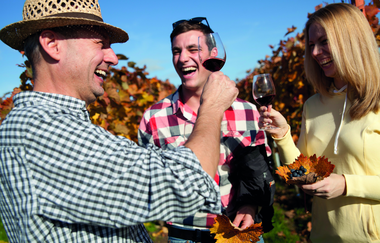 Wein - Sensorik - Kulinarik