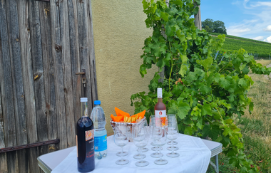 Wein - Sensorik - Kulinarik