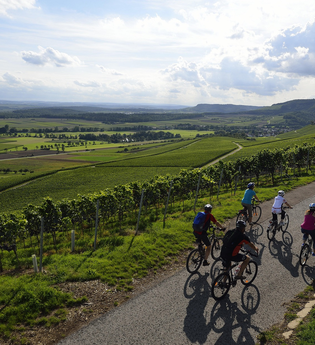 Geführte Radtouren mit Bike- & Touren-Guide Wolfgang Keimp | HeilbronnerLand | © Wolfgang Keimp