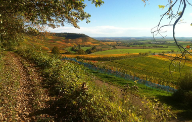 Wein-Rad-Runde | E-Bike Tour