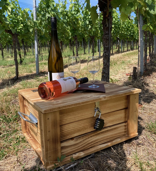 Schatzkiste mit Schloss, darauf zwei Weinfalschen und zwei Weingläser in den Weinreben | © Nicole Betz