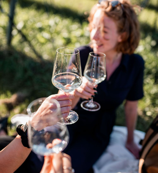 Weinblicke Natur und Neckarblick | buchbares Gruppenangebot