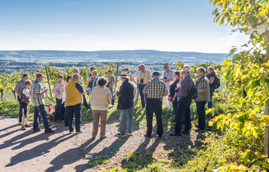 Brackenheimer (W)Einblicke | WeinErlebnisFührung mit Regine Sommerfeld im Weinsüden Weinort Brackenheim | © Neckar-Zaber-Tourismus e.V.