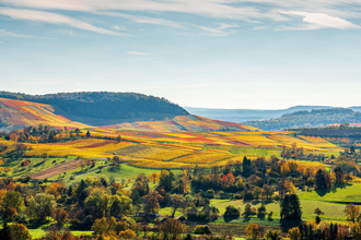 Weinlagen am Heuchelberg | Naturpark Stromberg-Heuchelberg | HeilbronnerLand | © Touristikgemeinschaft HeilbronnerLand e.V.