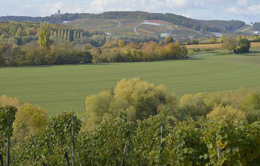 Blick über das Zabergäu im Naturpark Stromberg-Heuchelberg | Brackenheim | HeilbronnerLand | © Stadt Brackenheim - Iris Burk