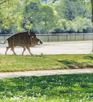 Eberbach / Odenwald | © Touristikgemeinschaft Odenwald e.V.