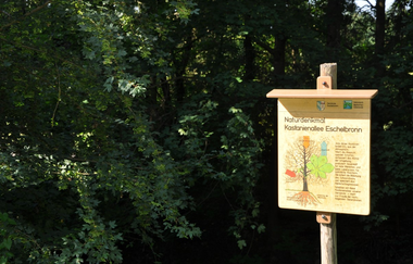 Hinweisschild Naturdenkmal Eschelbronn