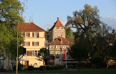 Turm vom Schlosspark aus Neckarbischofsheim | © Stadt Neckarbischofsheim