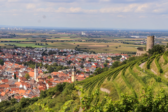 Aussicht auf die Strahlenburg und die Stadt Schriesheim | © Stadt Schriesheim