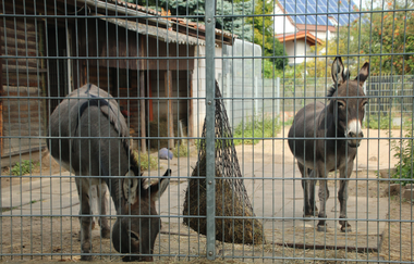 Angelbach-Tierpark in Rauenberg | © Landratsamt Rhein-Neckar-Kreis