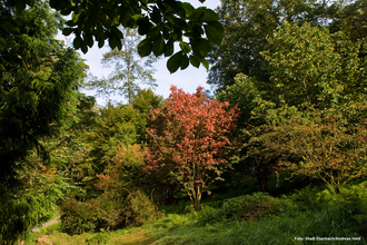Arboretum | © Stadt Eberbach