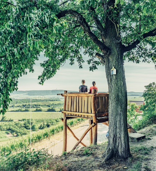 Aussichtskanzel am Zweifelberg | © Touristikgemeinschaft HeilbronnerLand e.V.