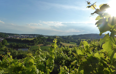 Aussichtspavillon in den Weinbergen | © Beate Otto