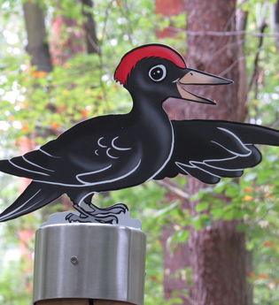 Bannwald "Kartoffelacker" im Schwetzinger Hardt | © Unbekannt