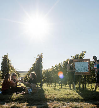 Landgut Steng | Entdeckertour | Bärbel Kraft | Weinprobe zwischen den Reben | © Neckar-Zaber-Tourismus e.V.