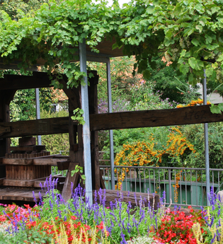 Baumkelter in Wiesloch | © Beate Otto