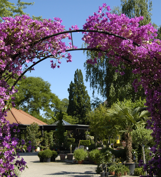 Baumschule und Café Huben in Ladenburg | © Baumschule Huben