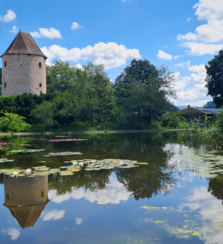 Blauer Hut in Weinheim | © Cornelia Eicher