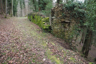Burgruine Waldeck bei Heiligkreuzsteinach