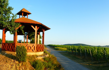 Bussierhäusel Wiesloch | © Landratsamt Rhein-Neckar-Kreis