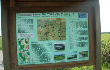 Die Walldörfer Weißstörche | © Beate Otto