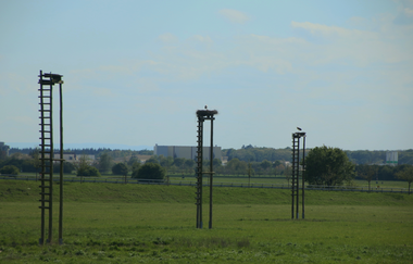 Die Walldörfer Weißstörche | © Beate Otto