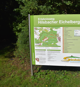 Infotafel zum Erlebnisweg Hilsbacher Eichelberg vor Bäumen