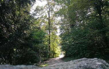 Exotenwald Weinheim | © Tourist Information Weinheim