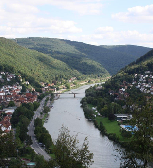 Felsenquelle bei Eberbach (220 m)