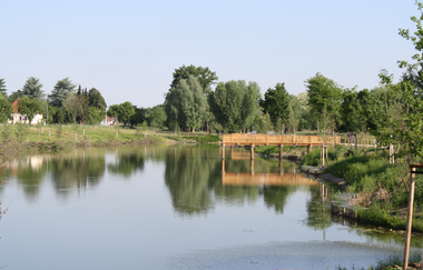 Fischkinderstube zwischen Edingen und Neckarhausen | © Gemeinde Edingen-Neckarhausen