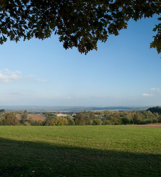 Gaiberg | © Dorothea Burkhardt