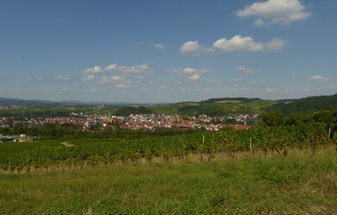 Galgenberg Rauenberg - Malschenberg (257m) | © Landratsamt Rhein-Neckar-Kreis