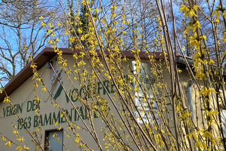 Vorderansicht Zum Vogelheim in Bammental mit gelber Blütenpracht.