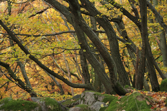 Geopfad - Steine, Schluchten und Sagen