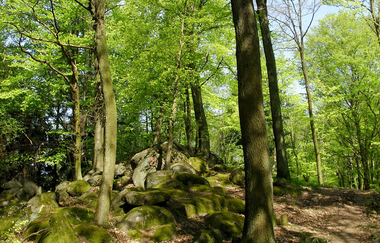 Geopfad - Steine, Schluchten und Sagen