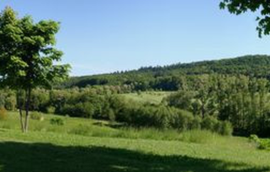 Golfanlage Buchenauerhof | © Golfanlage Sinsheim Buchenauerhof AG