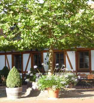 Gutshof mit Weingut Menges in Rauenberg | © Beate Otto