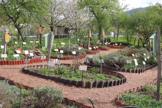 Heilkräutergarten | © Stadt Eberbach